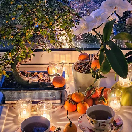 Terrasse De Malissol Vienne (Isere)
